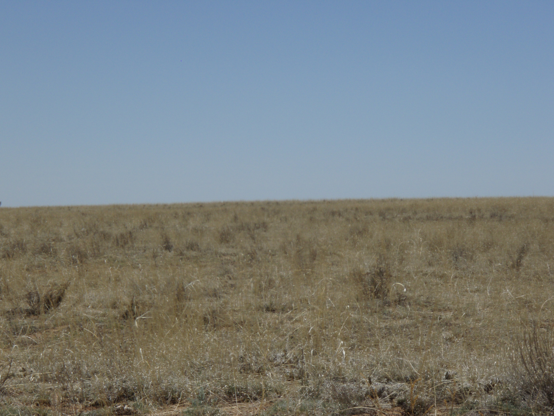 ESTANCIA VALLEY RANCHETTES land for sale